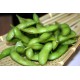 JF50003 [KEDAMAME] KANIKA EDAMAME