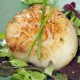 SFSH40081 [SEA SCALLOP-U10] SEA SCALLOP U10