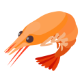 Prawn