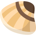 Shellfish