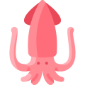 Squid