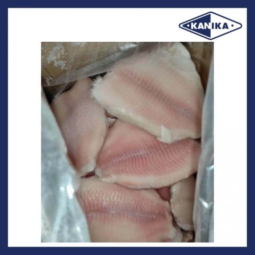 SFFI80009 [TFF-9/11-RED] FROZEN TILAPIA FILLET, SIZE : 9/11 (RED STRAP)&quot;