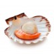 SFSH40030 [1/2 SHELL SCALLOP 8-9CM] 1/2 SHELL SCALLOP 8-9 CM