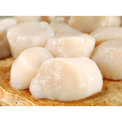 SFSH40081 [SEA SCALLOP-U10] SEA SCALLOP U10
