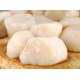 SFSH40081 [SEA SCALLOP-U10] SEA SCALLOP U10