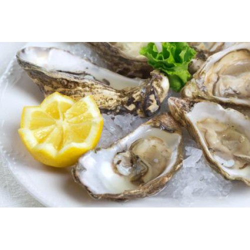 SFSH30012 [OHS-7/10] FROZEN 1/2 SHELL OYSTER 7/10