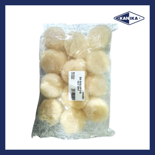 SFSH40081 [SEA SCALLOP-U10] SEA SCALLOP U10