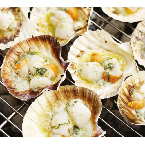 SFSH40026 [1/2 SHELL SCALLOP 9-10CM] 1/2 SHELL SCALLOP 9-10 CM