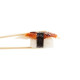 JF80108 [KYAKI-TAI/AA] TILAPIA FILLET KABAYAKI (6-8PCS/PKT)