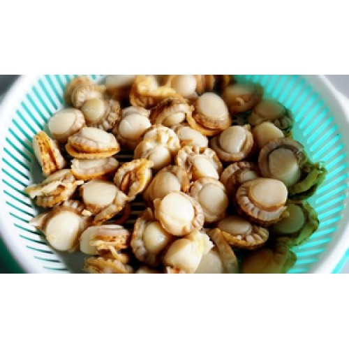 SFSH40053 [JBOILED HOTATE-L] BOILED HOTATE SIZE : L
