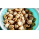 SFSH40053 [JBOILED HOTATE-L] BOILED HOTATE SIZE : L